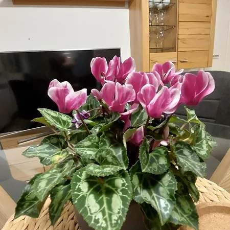 Watt'n Haven Apartment Wilhelmshaven