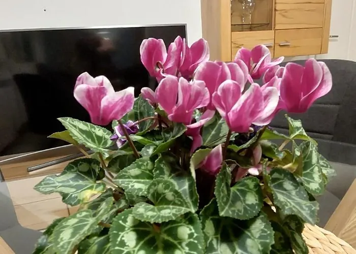 Watt'n Haven Appartement Wilhelmshaven